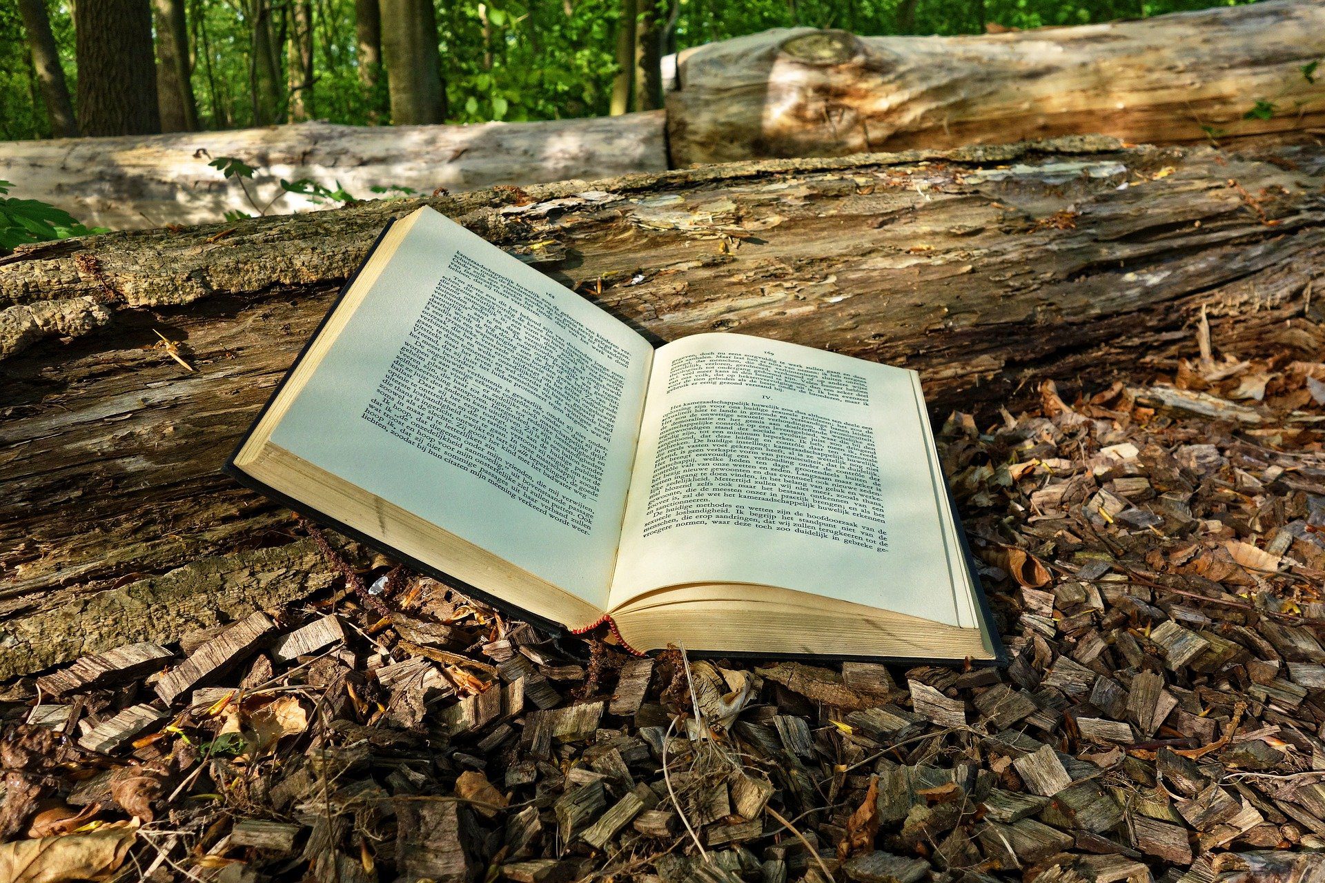 Schreib Dein Buch - in 2021