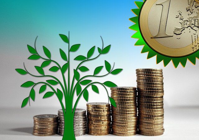 Wachstumsmarkt Green Economy - Der ideale Start