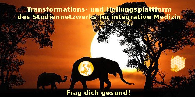 Gemeinsame Reise zur Gesundheitsversicherung